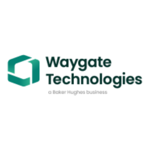 Waygate Technologies