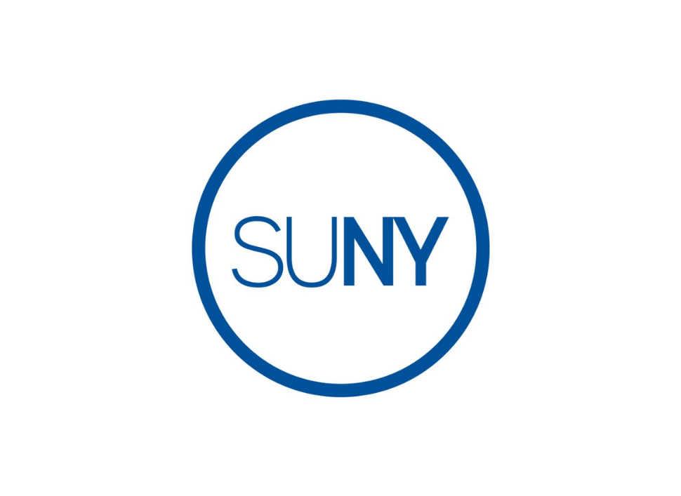 SUNY-Backed Handheld Terahertz Scanner Targets Faster Burn Assessment